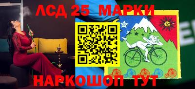 гидропоника Тара
