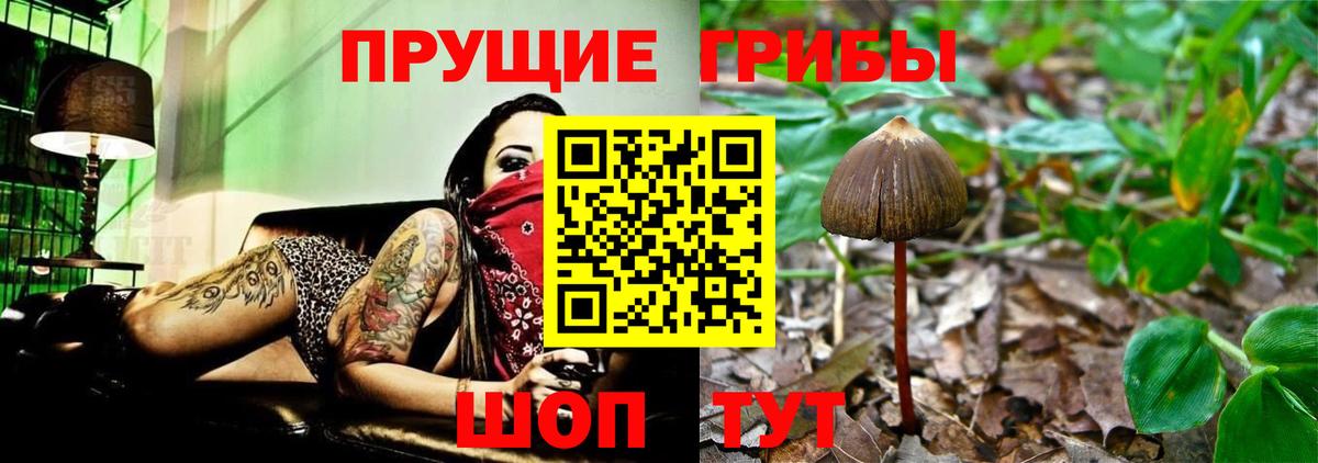 Щёкино  Галлюциногенные грибы прущие грибы  Галлюциногенные грибы мухоморы  Вход с VPN 
