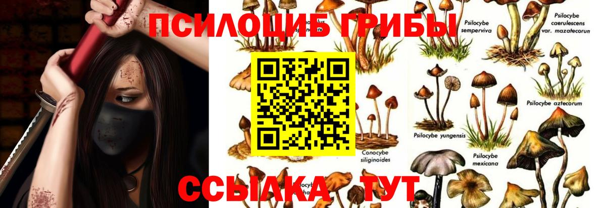 Псилоцибиновые грибы мухоморы Щёкино